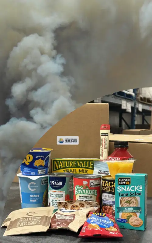  Emergency Response