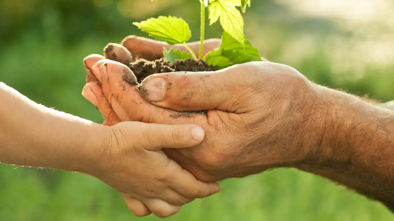 Give a gift with lasting impact.