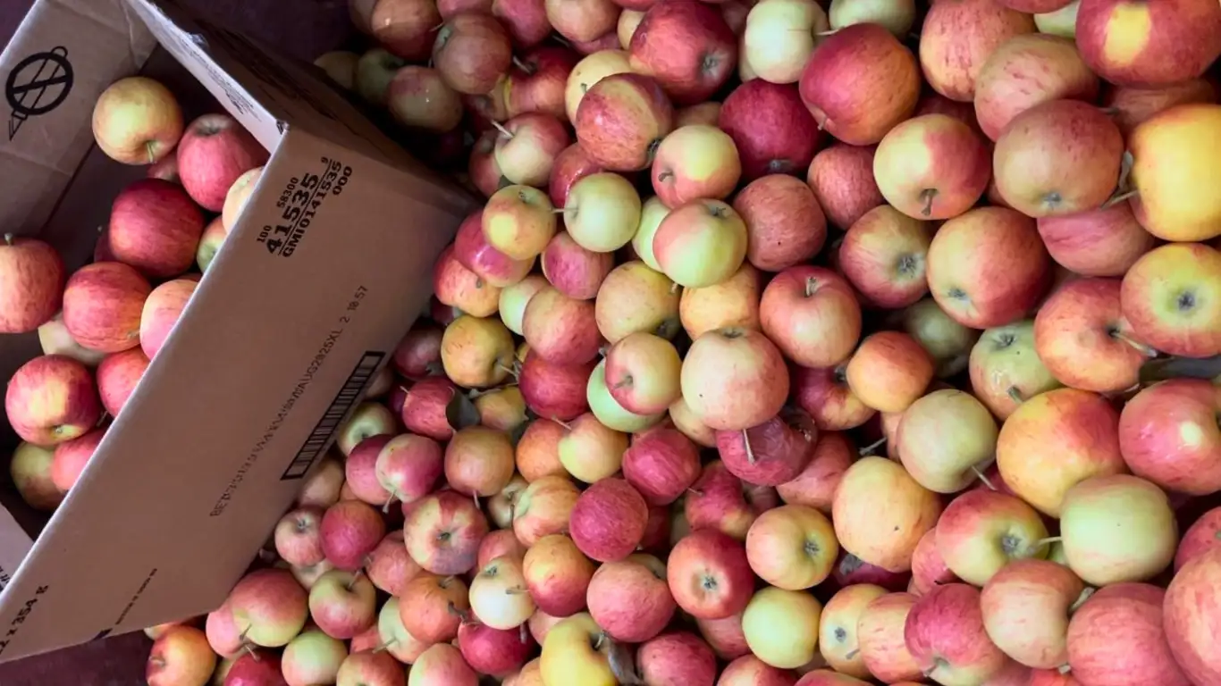 Ethical Food Banking Code